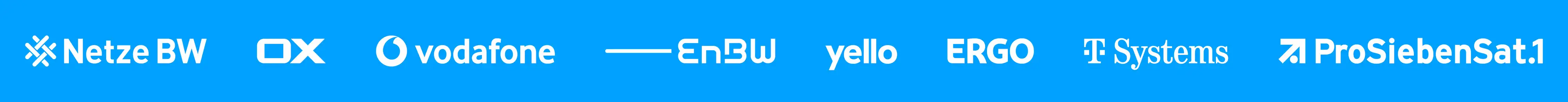 Referenzen: Netze BW, Open-Xchange, Vodafone, EnBW, yello, ERGO, T-Systems, ProSiebenSat.1